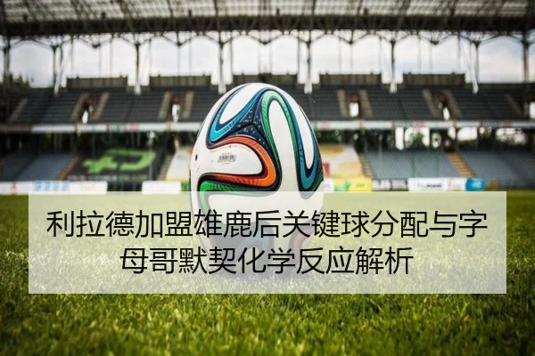 利拉德加盟雄鹿后关键球分配与字母哥默契化学反应解析