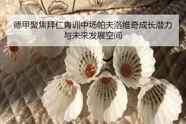 德甲聚焦拜仁青训中场帕夫洛维奇成长潜力与未来发展空间
