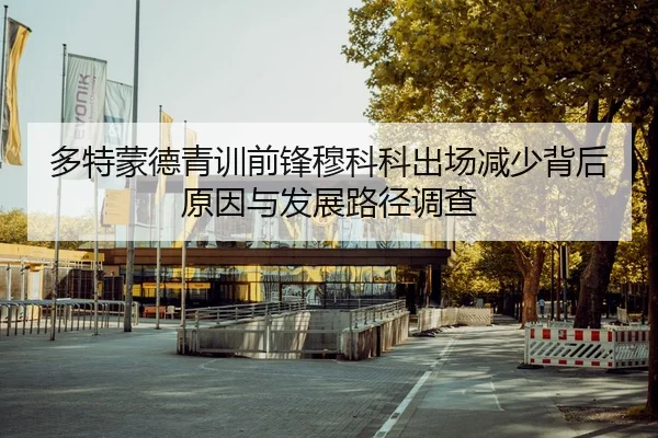多特蒙德青训前锋穆科科出场减少背后原因与发展路径调查