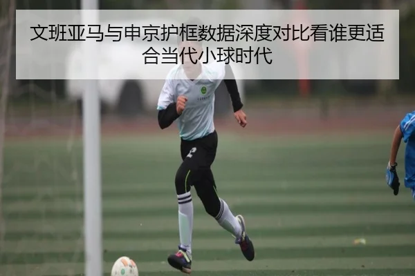 文班亚马与申京护框数据深度对比看谁更适合当代小球时代